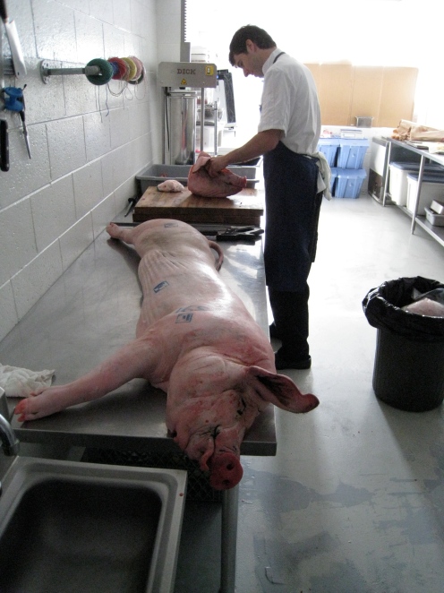 carcass on counter