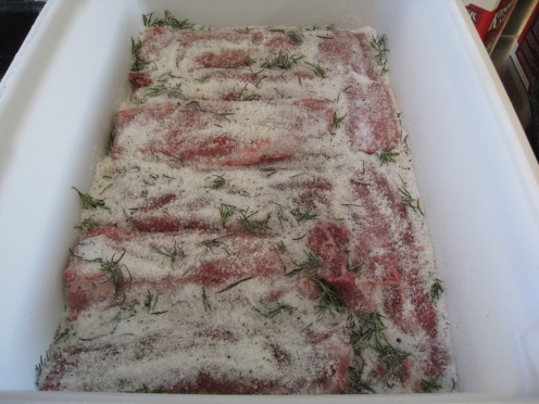 Pork loin being turned into lomo with salt, rosemary and tellicherry pepper